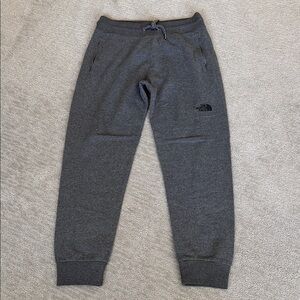 The North Face Gray Joggers Men